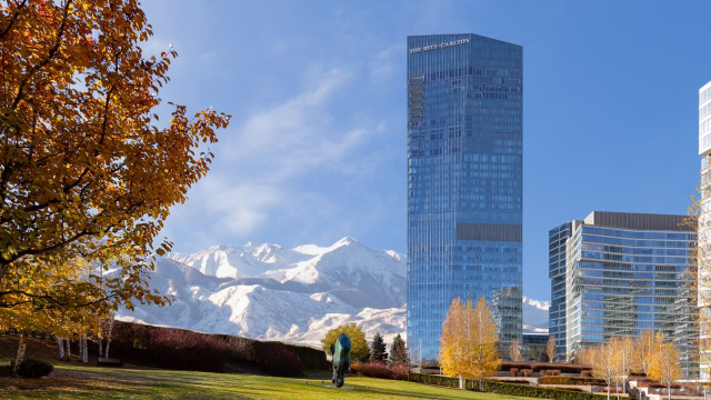 The Ritz Carlton 