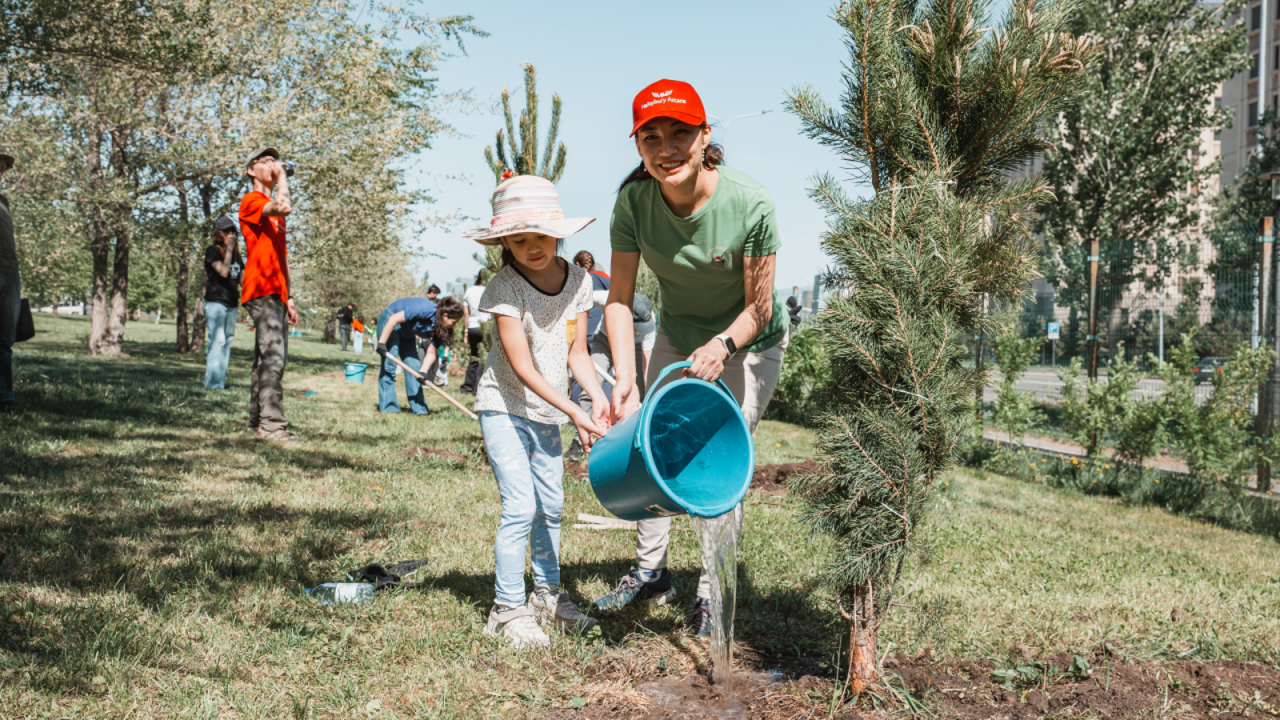 Tree-planting