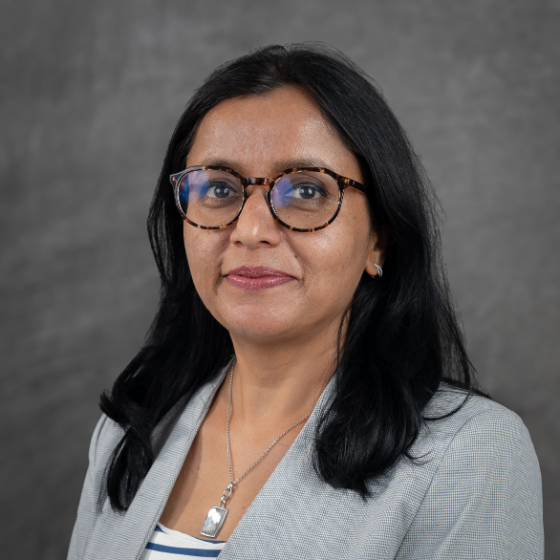 British independent school in 